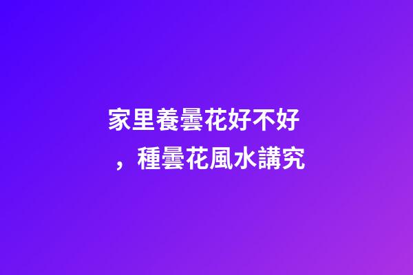家里養曇花好不好，種曇花風水講究